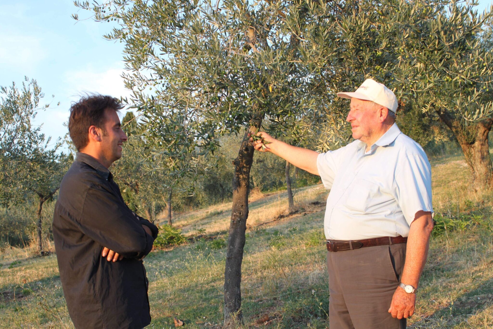 azienda medei