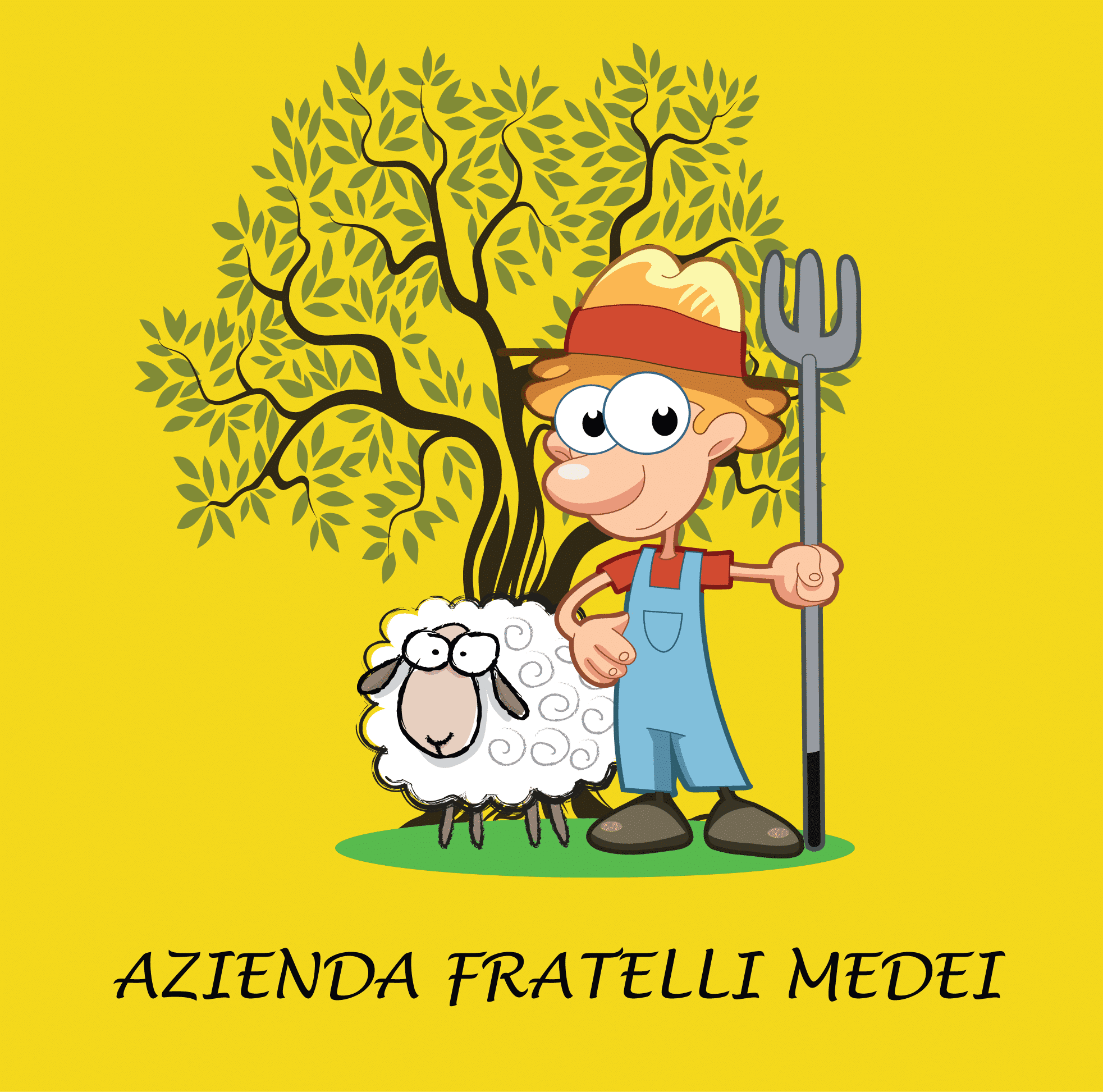 Azienda Medei _ Olio e formaggio