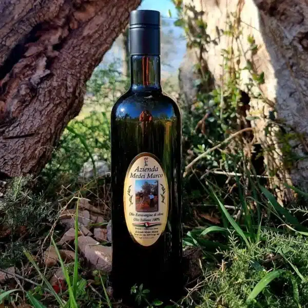 Olio EVO - 100% Moraiolo