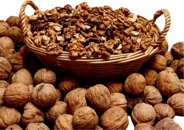 Noci Umbre in Guscio